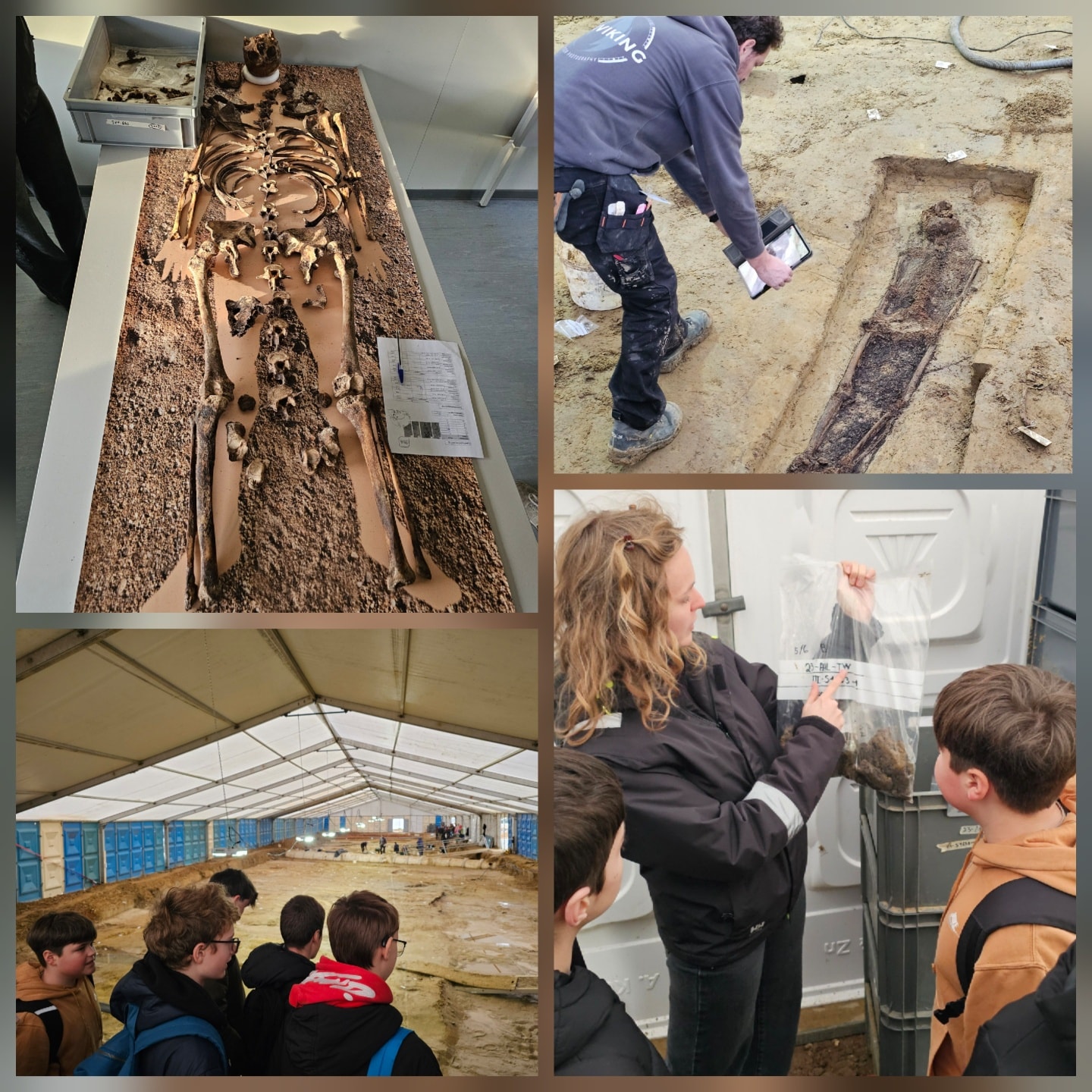 expertise opdoen voor de First Lego League.